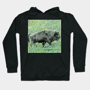 bison Hoodie